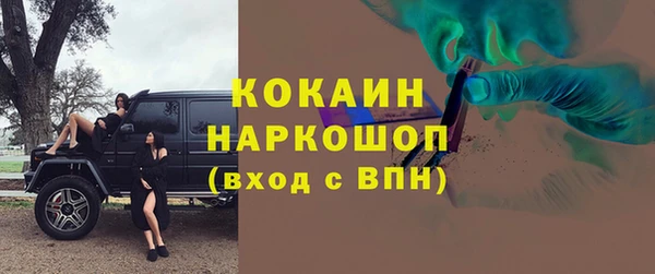 spice Бородино