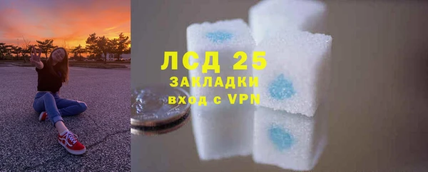 spice Бородино