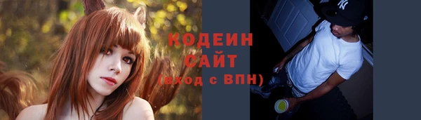 молекула духа Бронницы
