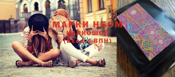 spice Бородино