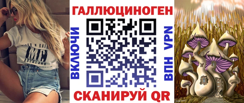Псилоцибиновые грибы Psilocybine cubensis  Жирновск 